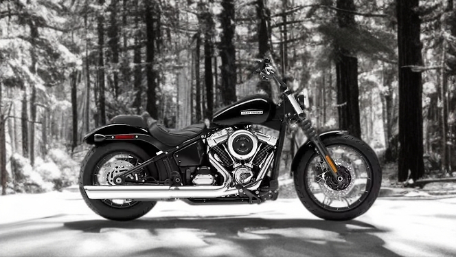 Harley Davidson Street Bob 2025: आ रही है क्रूजर बाइक दमदार फीचर के साथ, कीमत जानकर आपके होश उड़ जाएंगे